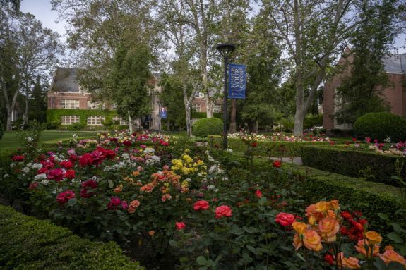 Emeriti Fall Welcoming Celebration