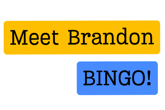 bold text reading 'Meet Brandon Bingo!'