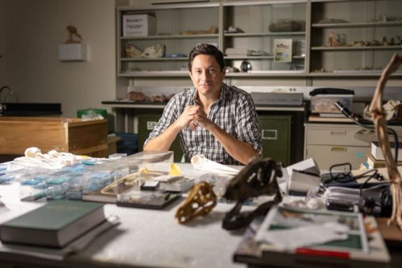 Professor Chris Torres