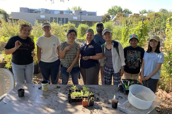 Volunteer Day
