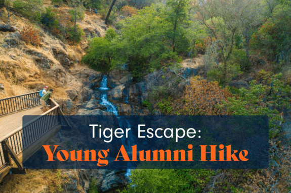 Tiger Escape