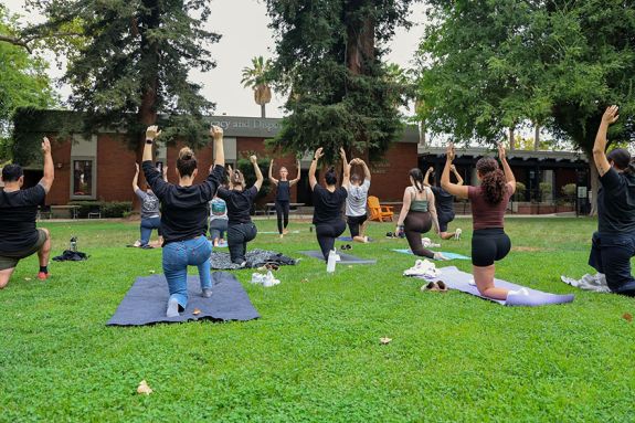 A group of people do yoga out on a green lawn. 