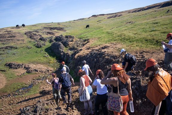 A group of people in orange shirts hike along rolling hills. 
