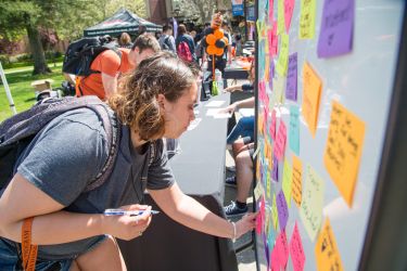 wellness fest
