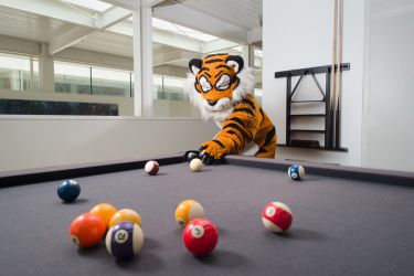 powercat playing pool
