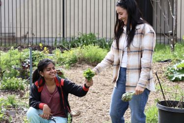 Students in the Sac Garden