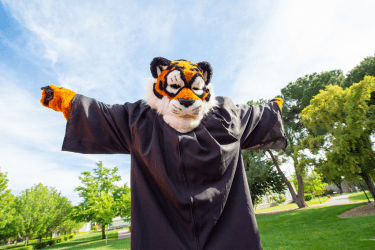 Powercat in graduation regalia