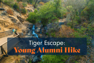 Tiger Escape
