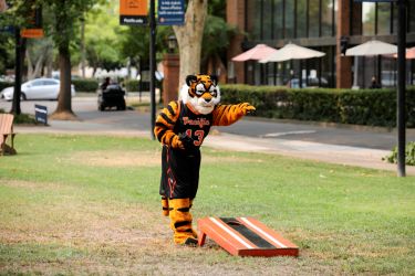 powercat playing cornhole