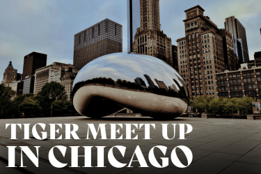 Tiger Meet-Up in Chicago