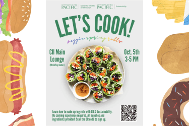 Cook 