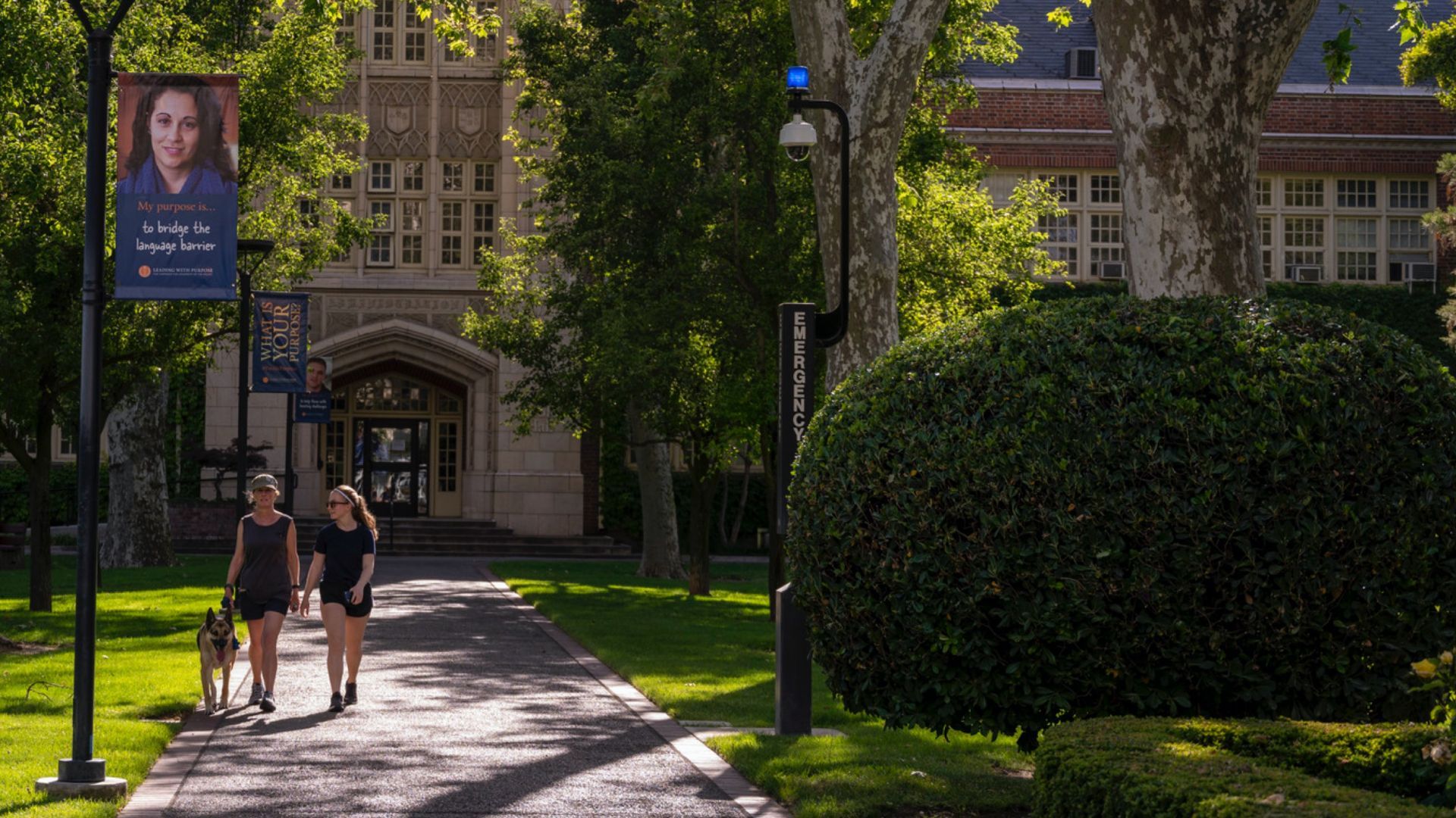 campus scenery