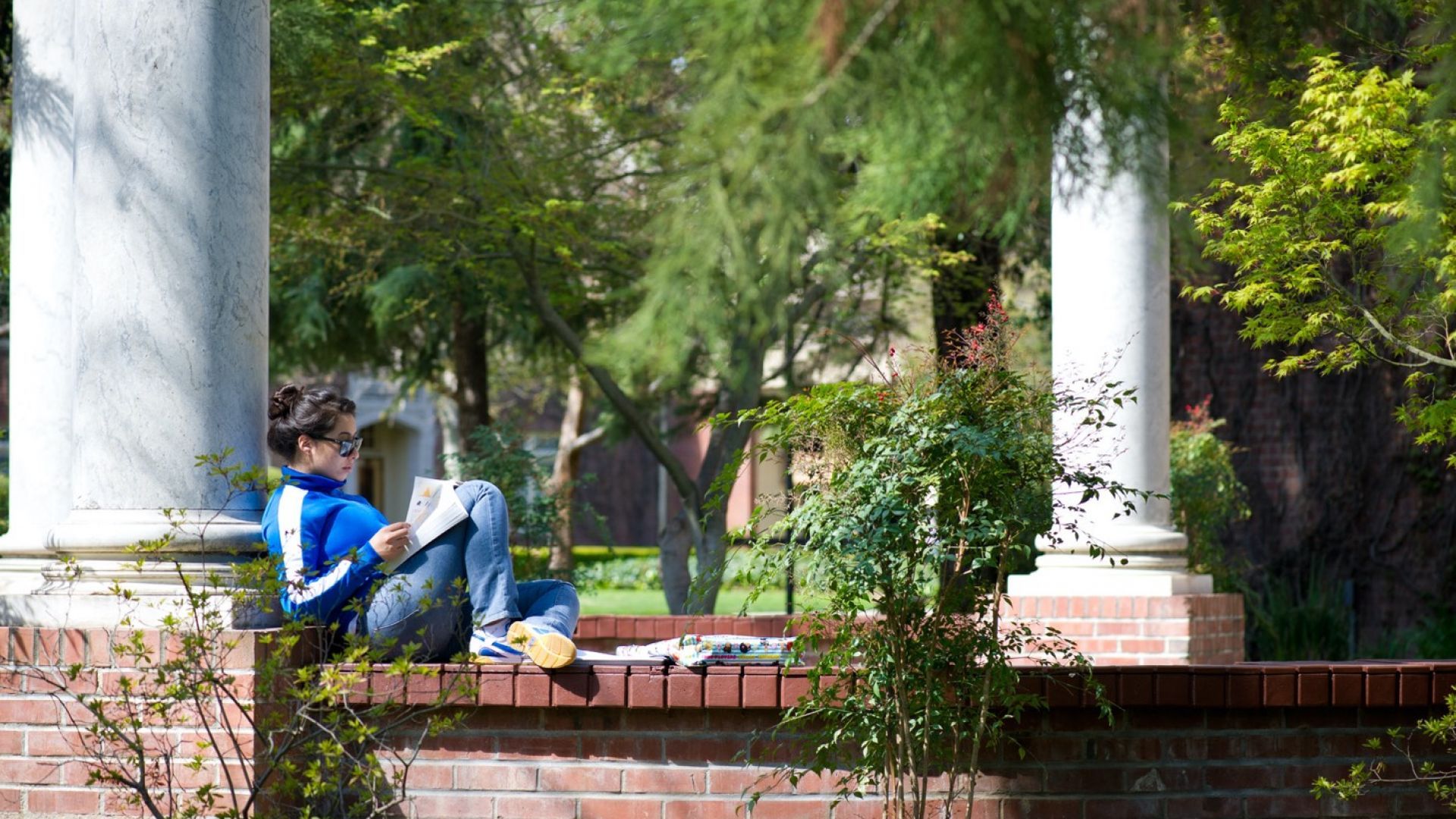 Studying outside