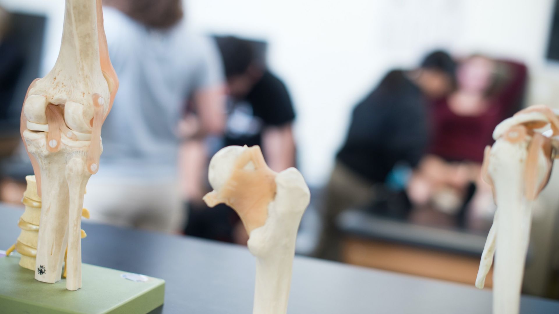 bones