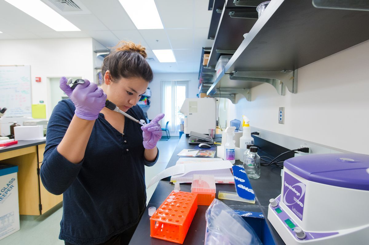 Student doing mosquito research in a pharmacy lab