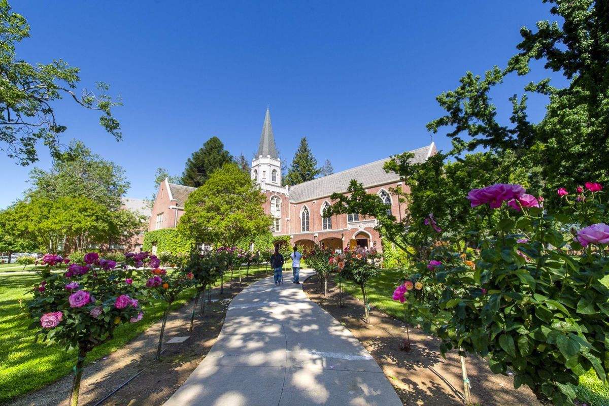 campus beauty