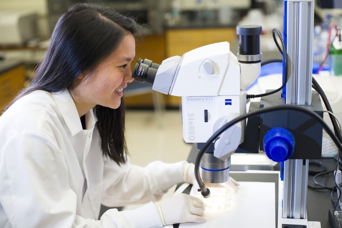 Biology student looking into microscope