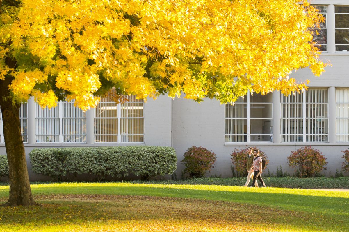 students walk on campus in the fall
