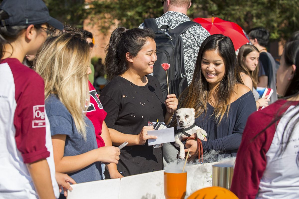 Students at a club fair