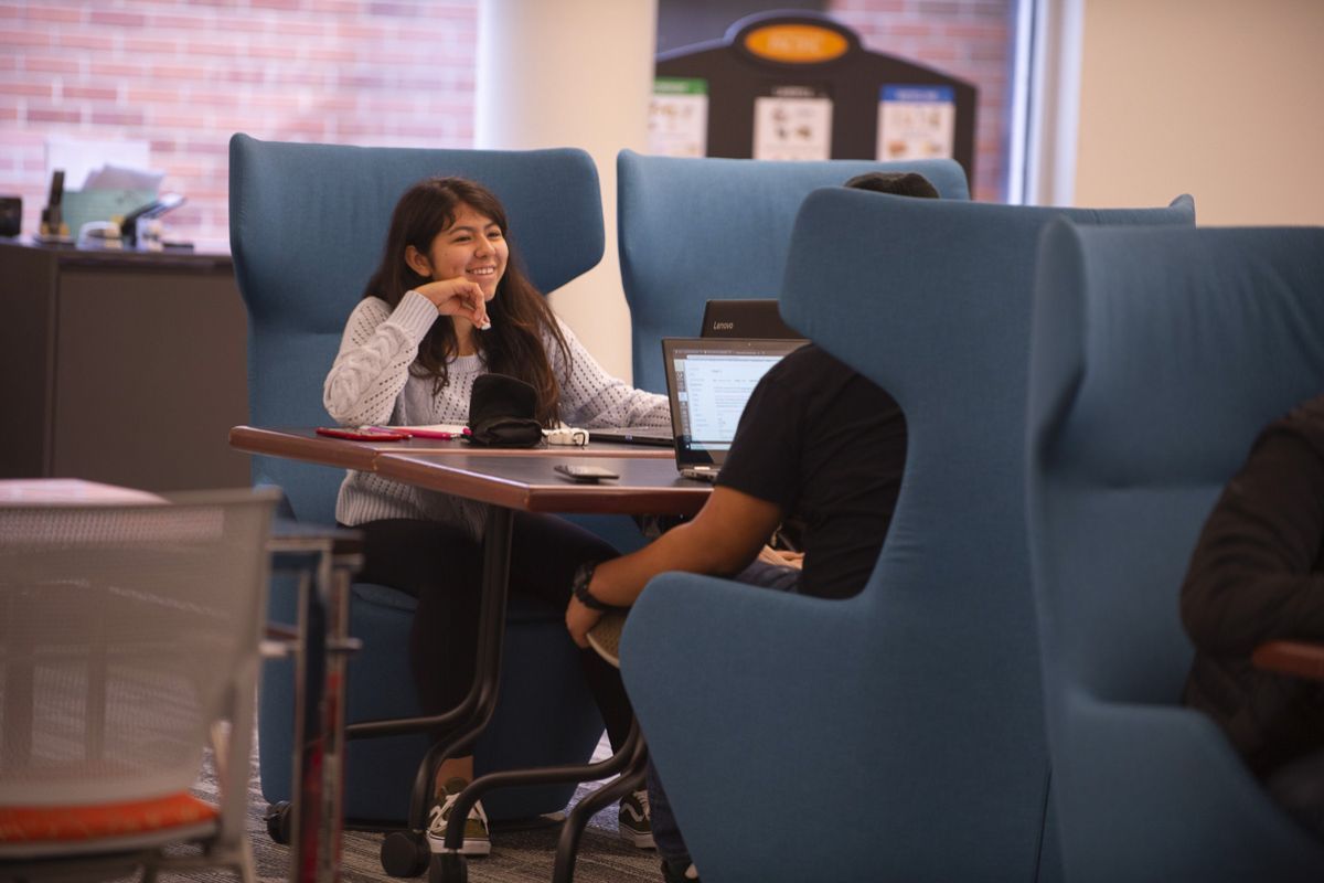 Students studying inside the library 