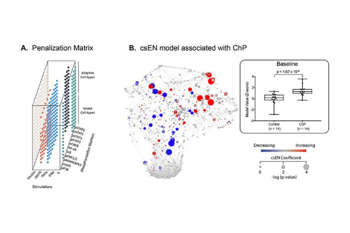 A cell signaling–based elastic net (csEN) analysis identifies systemic immune signaling features associated with chronic periodontitis (ChP). (A) We adapted a previously implemented cell signaling–based penalization matrix for the csEN analysis that accounted for whether a cell type– and receptor-specific signaling response to each stimulation condition is supported by prior knowledge of signal transduction pathways. (B) (Left panel) The csEN identified immune signaling features that differentiate samples f