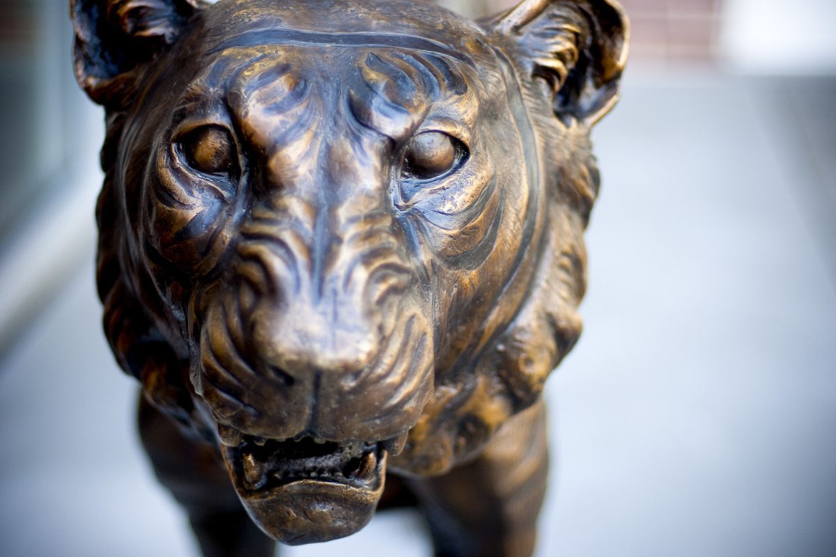 tiger statue