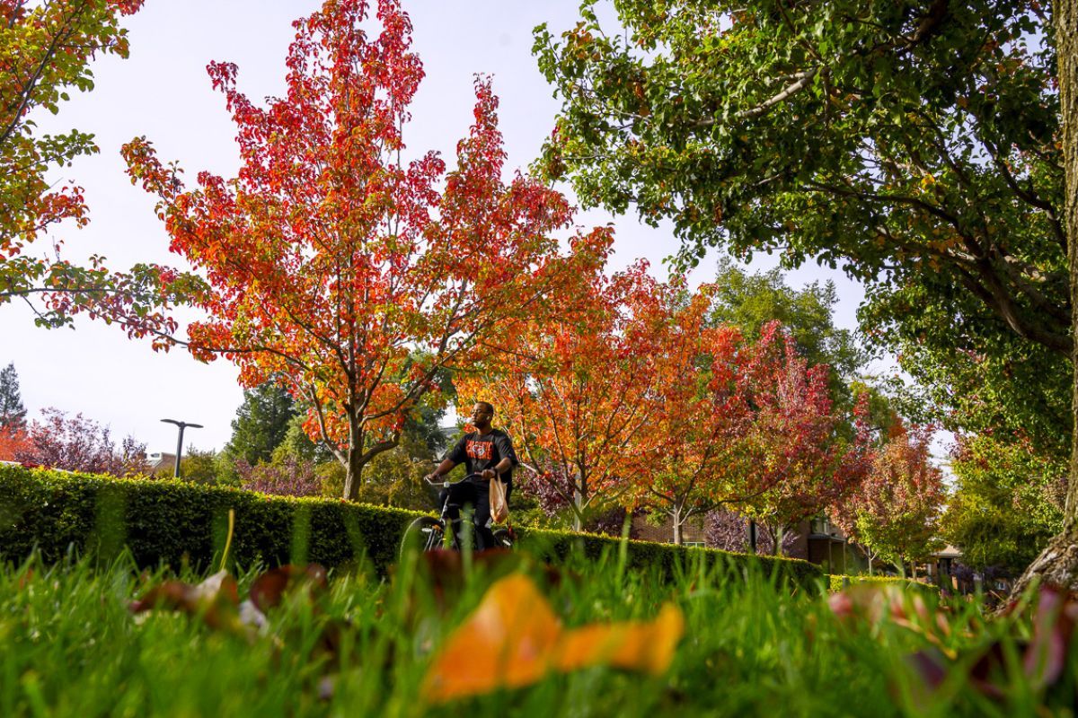 a student rides a bike on campus with fall colors in the background