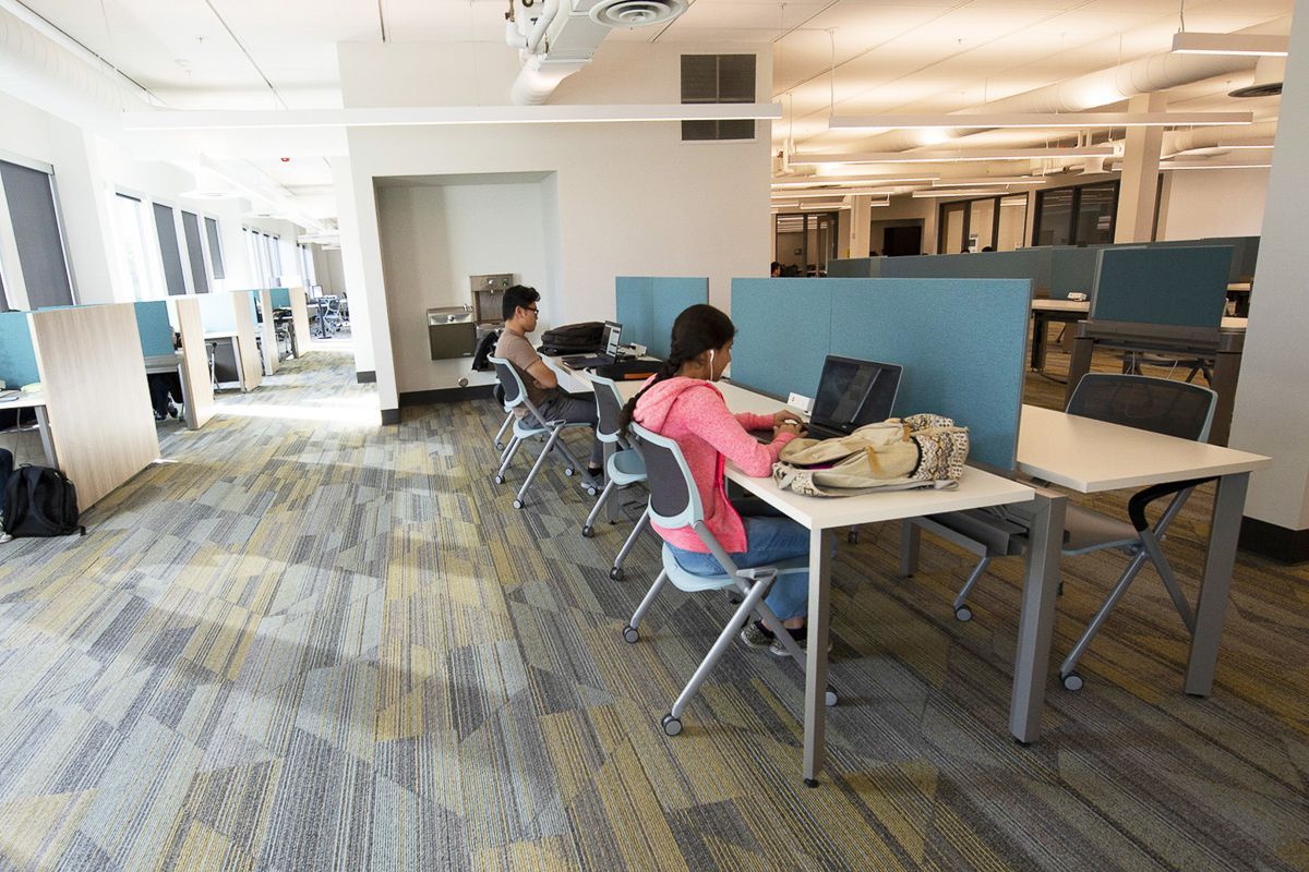 students study in the library