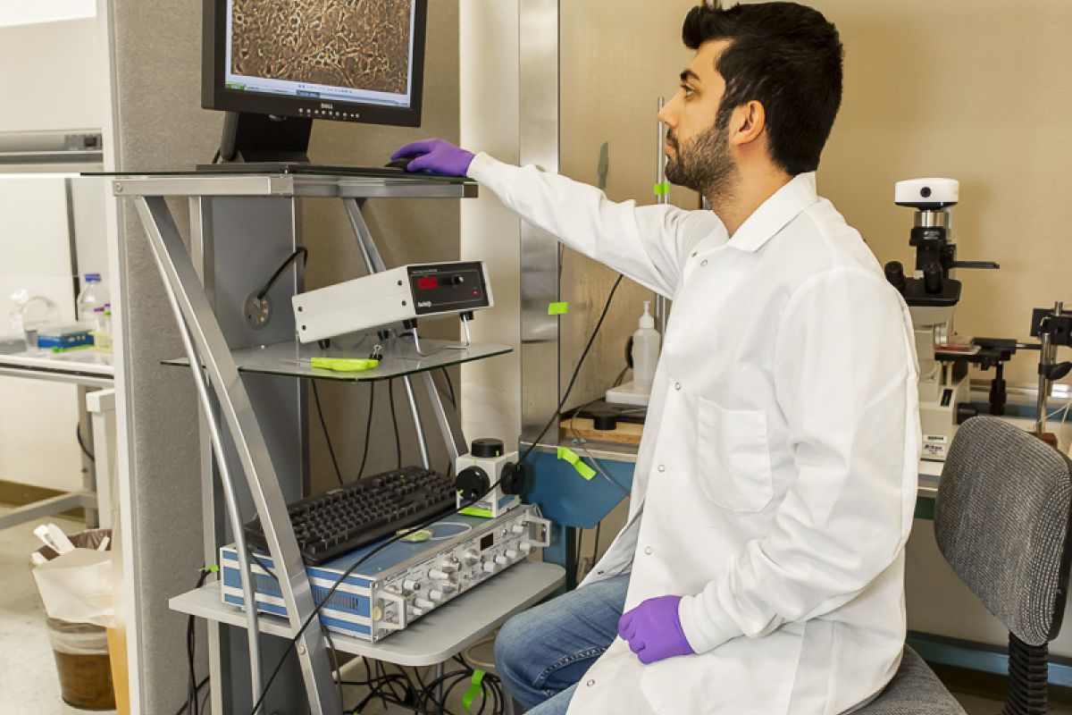 student in lab looking at computer