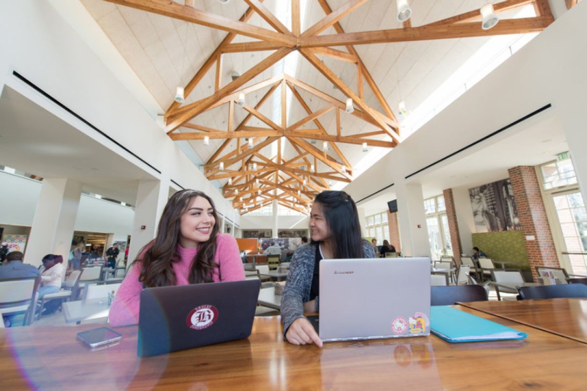 Students studying in the DeRosa University Center