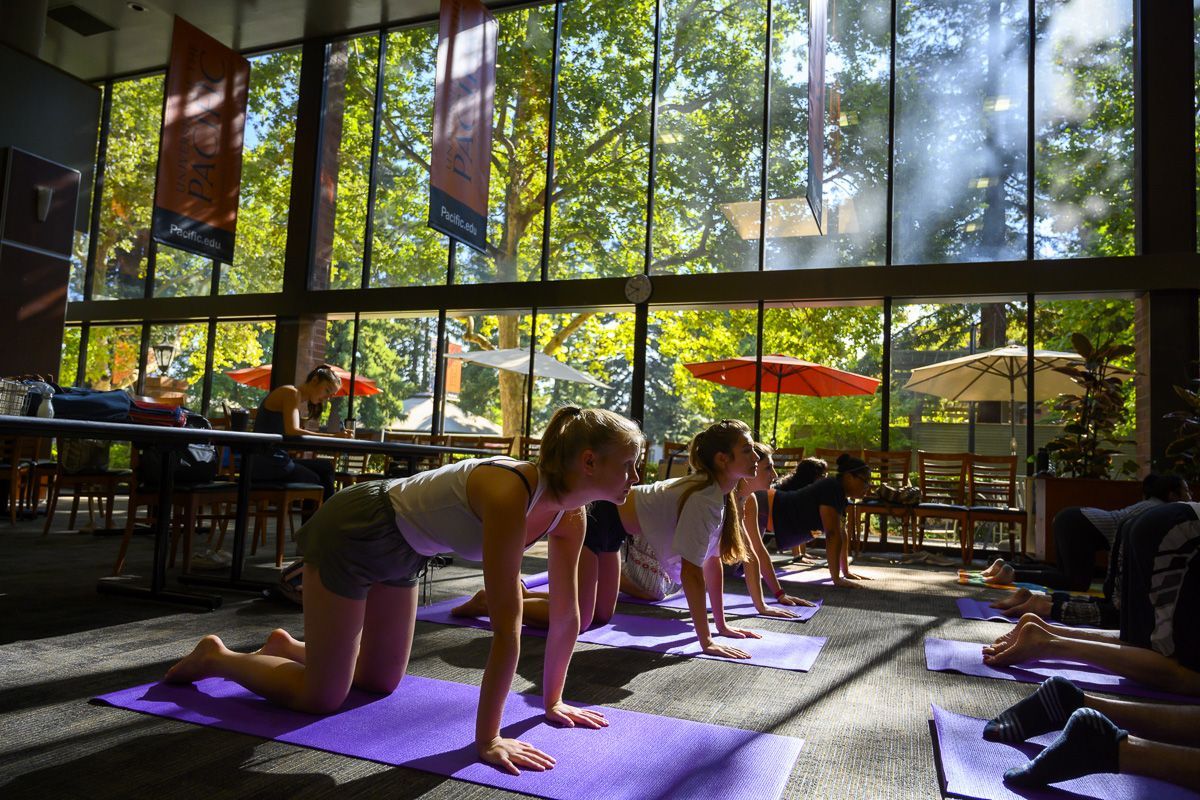 students participate in a yoga class