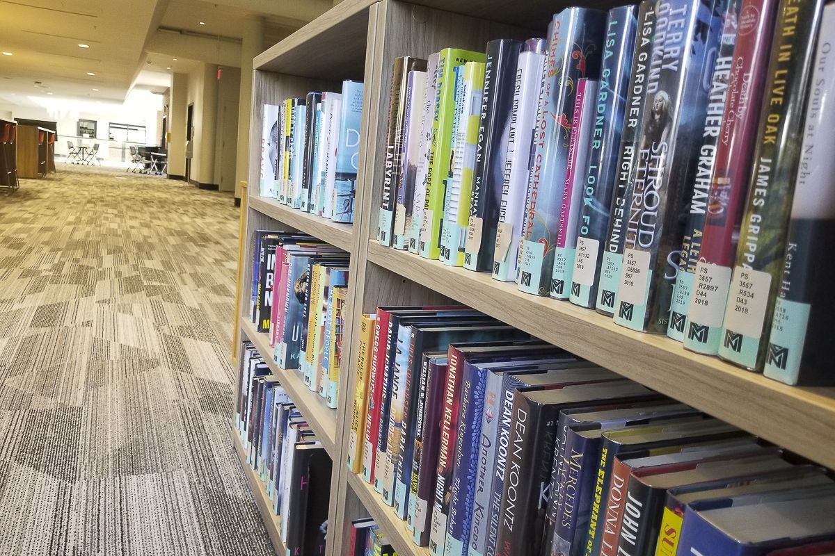 Bookcase in the library