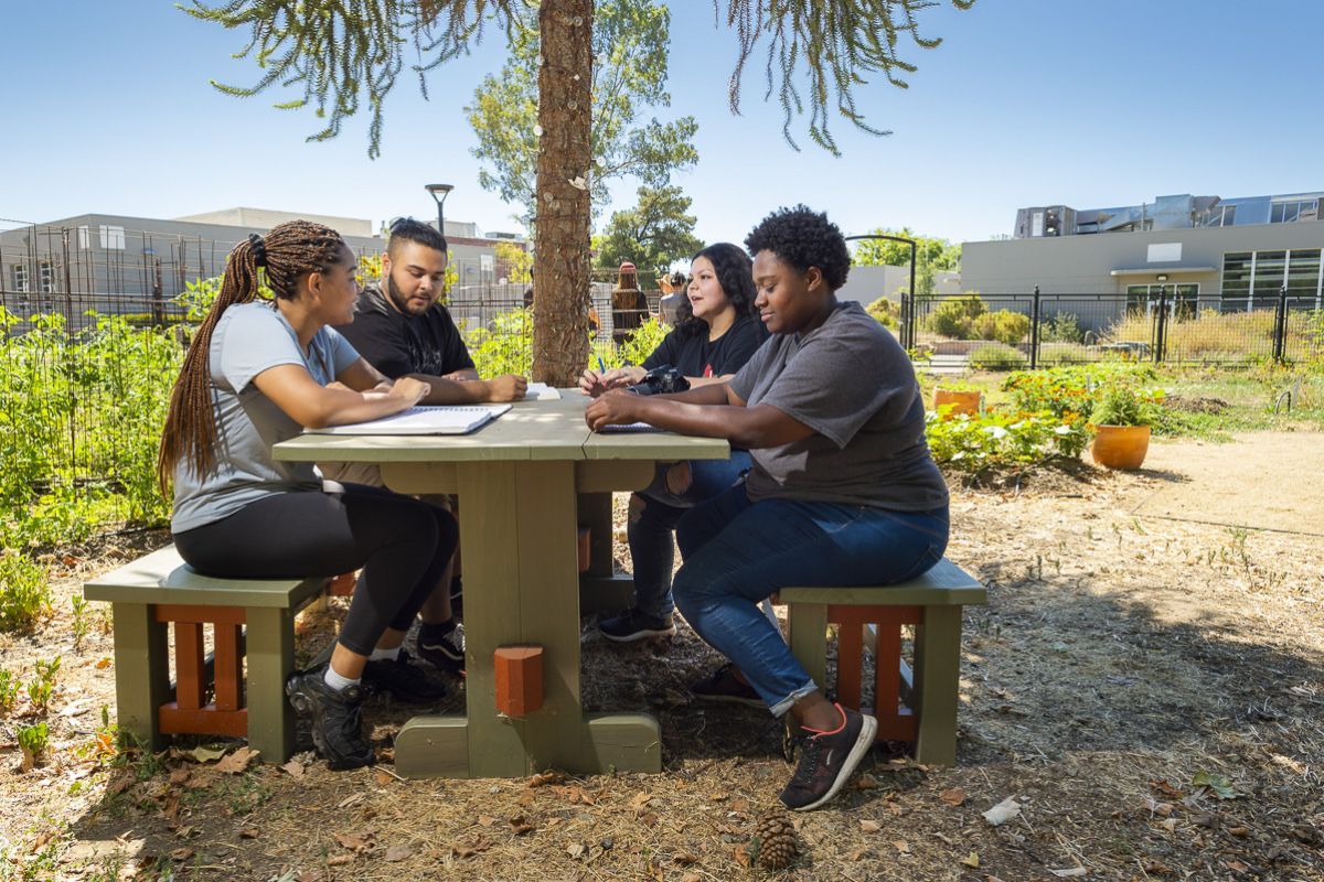 students sitting in Robb Garden