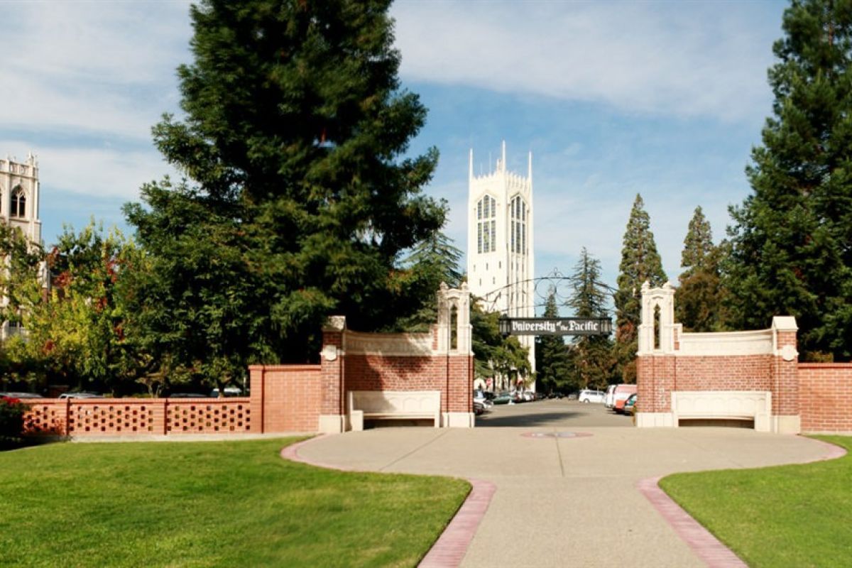 Undergraduate Search