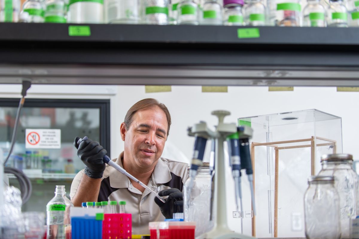 Professor in the lab
