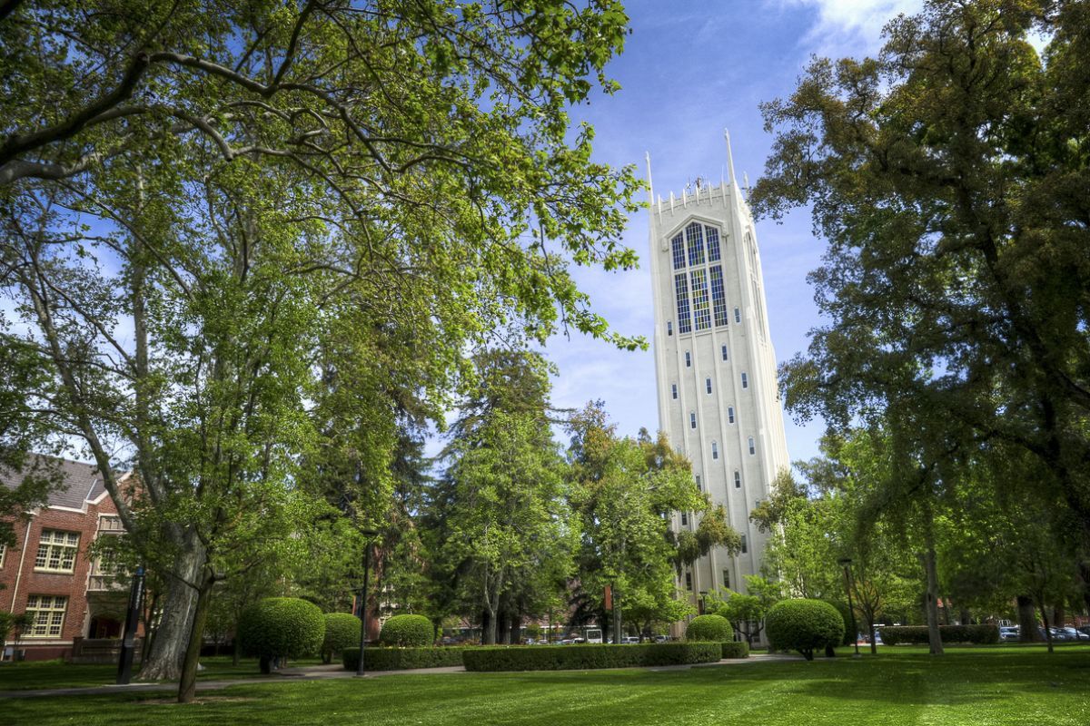 Burns Tower from Knoles Lawn