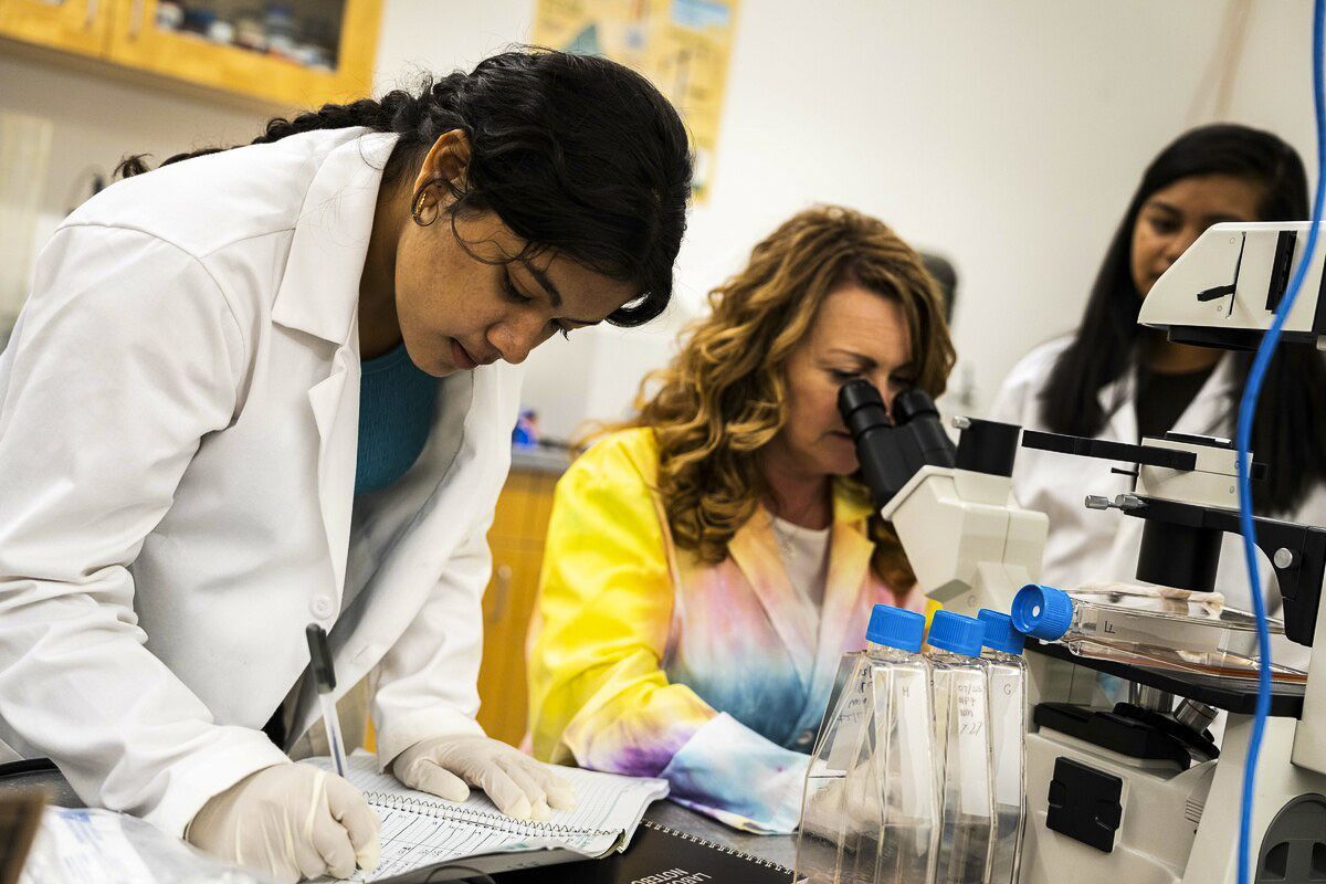 Students working in the lab