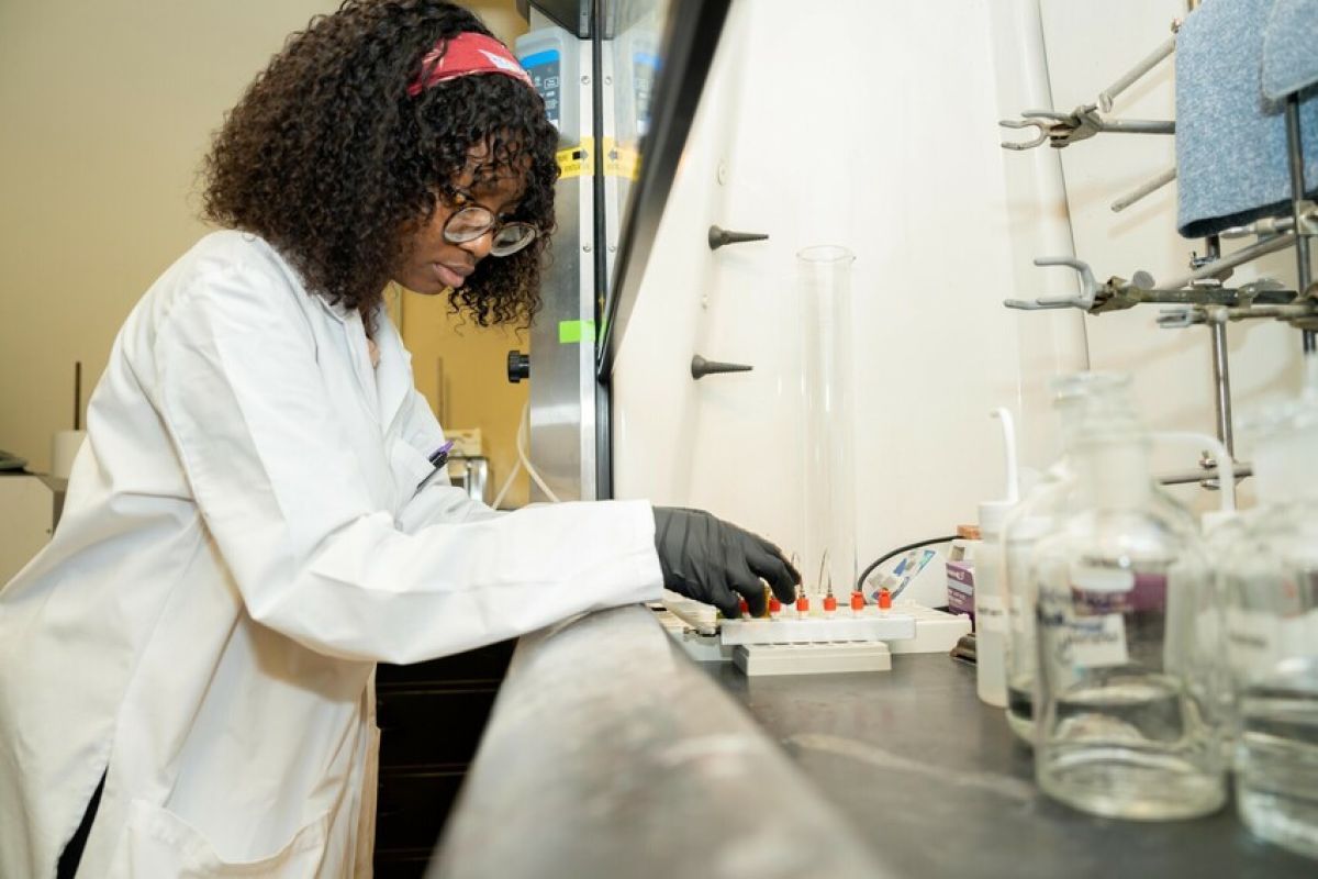 a student doing scientific research