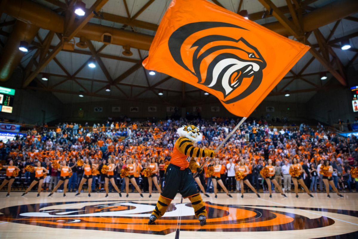 Powercat waving the Pacific Tigers flag