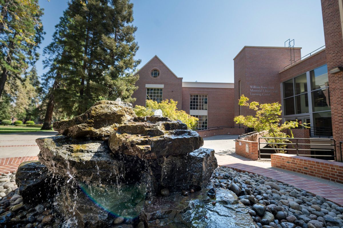 Library entrance view from the fountain