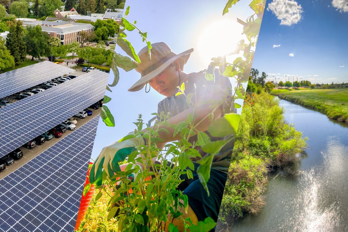 Collage of university sustainability practices, from food to solar and water