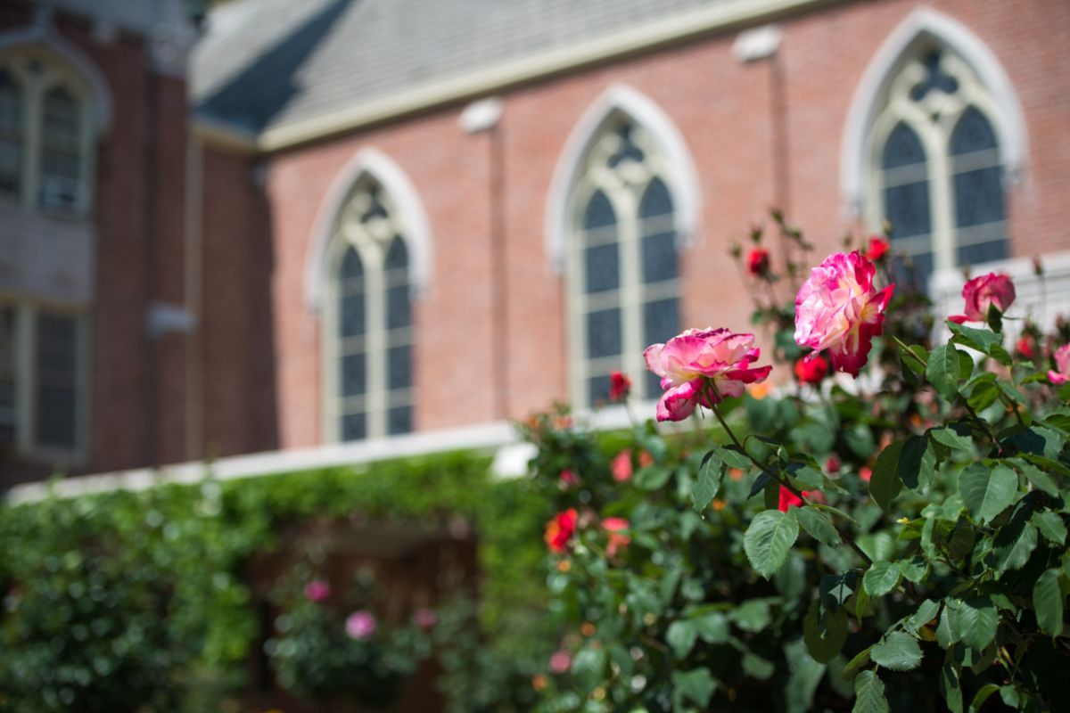 roses outside morris chapel