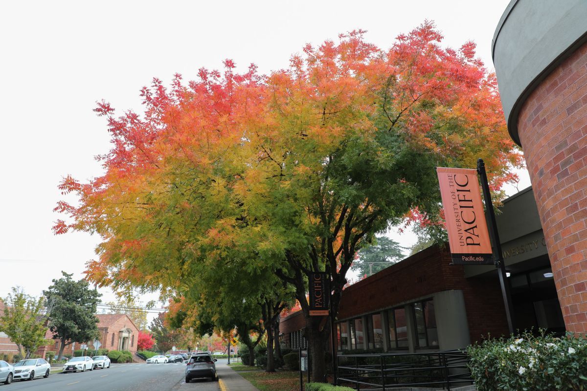 mcgeorge school of law campus, green red and yellow trees