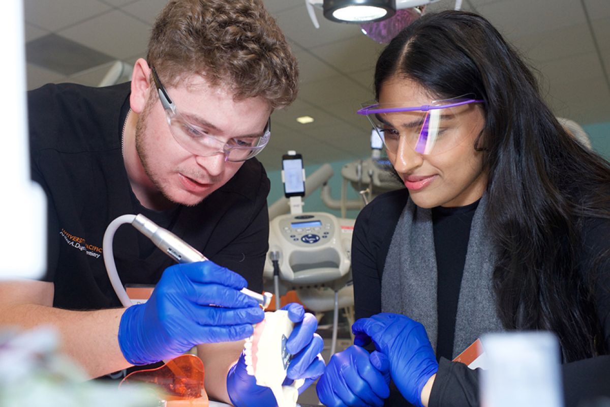 male student guiding female attendee while holding a drill and typodont
