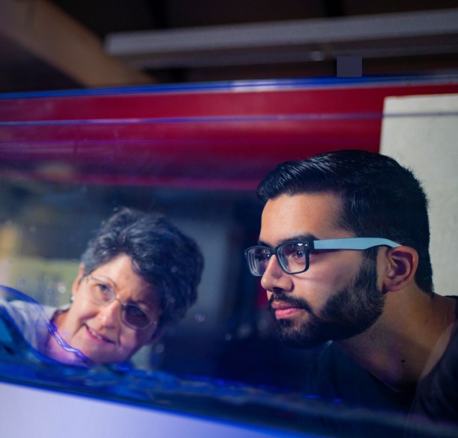 Explore Academic Opportunities