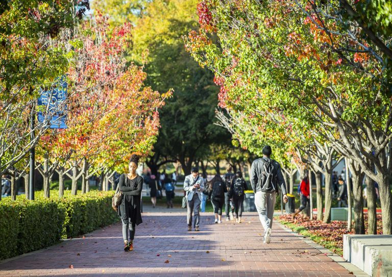 students walk on campus in the fall