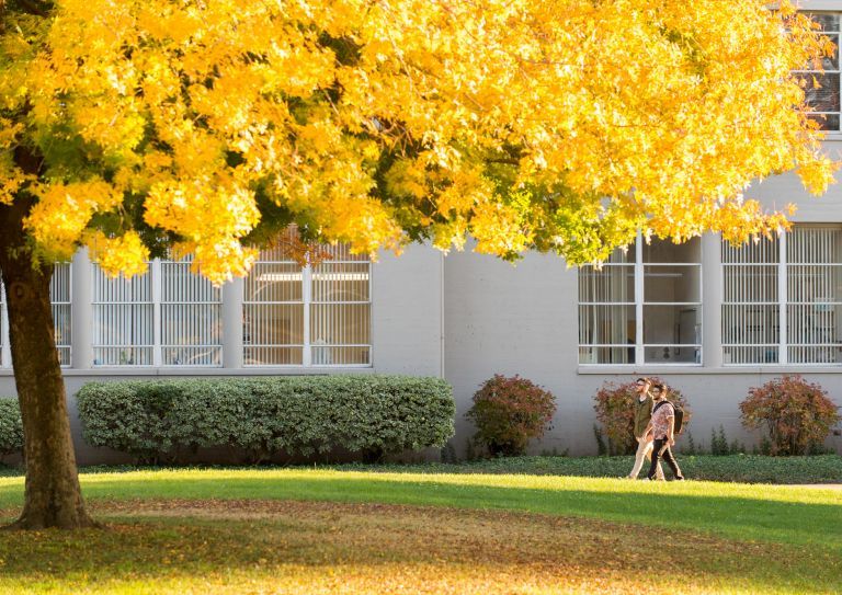 students walk on campus in the fall