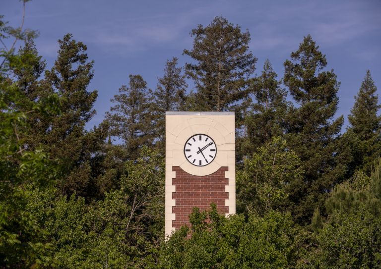 clock tower framed by trees