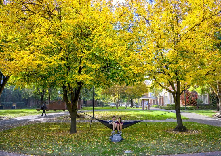 students sit on a hammock