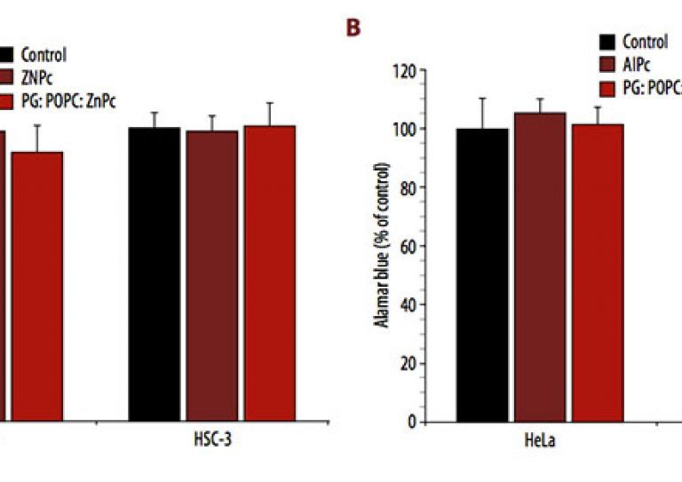 Dark toxicity of 1 µM free and liposomal ZnPc (A) and AlPc (B) on the viability of HeLa and HSC-3 cells. The metabolic activity was measured by the Alamar Blue assay and expressed as a percentage of the control (control cells). Each value is a mean ± standard deviation (SD) of 2 or 3 independent experiments performed in triplicate.